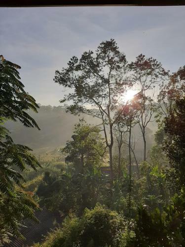 Lodge Ella Breeze Homestay