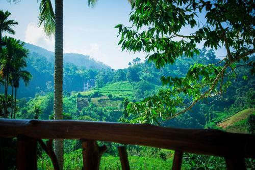 Bed & Breakfast Ella Cottage 219 V