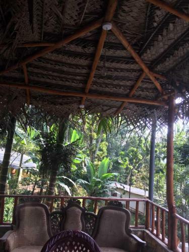 Ella Nature Nest