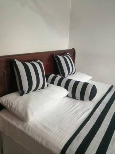 Hostal Whiteflowerhomestayella