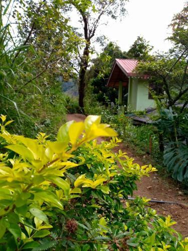 Hostal Whiteflowerhomestayella