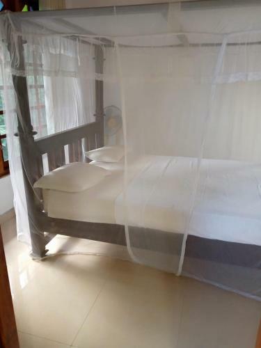 Hostal Whiteflowerhomestayella