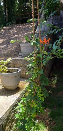 Hostal Casablanca Ella