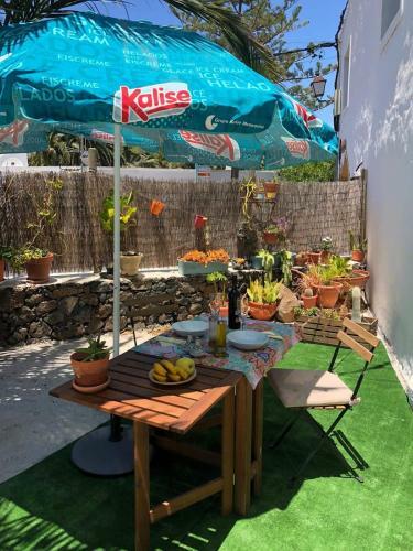 Apartamento Casa Palmera Y Casa D�til