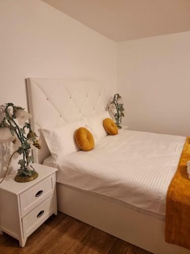 Hostal Casa Iulia