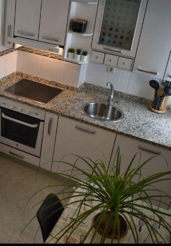 Apartamento Haro Confort