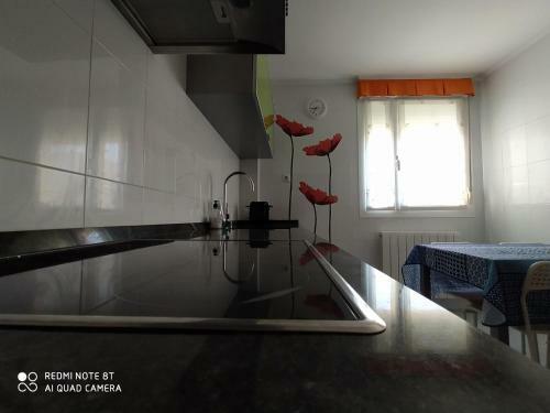 Apartamento En El Coraz�n Del Mazo