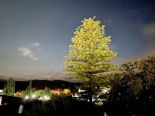Apartamento Casa De Prado
