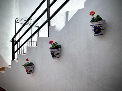 Casa Rural Sierra T�rtola 1