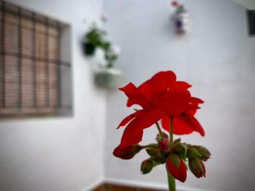 Casa Rural Sierra T�rtola 1