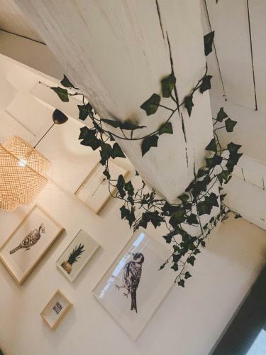 Apartamento La Antigua Fonda