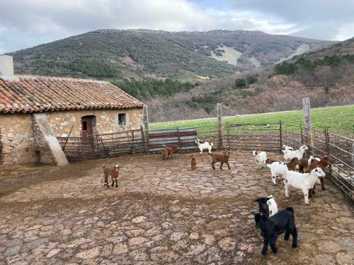 Casa Rural Las Lanchas