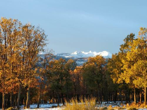 Agroturismo El Rondillo De Gredos