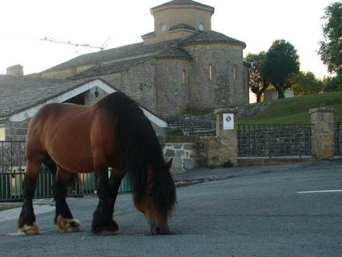 Apartamentos Lazkano I Y II