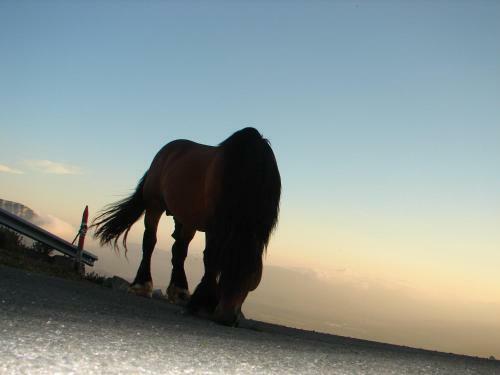 Apartamentos Lazkano I Y II