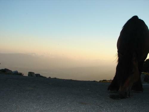 Apartamentos Lazkano I Y II