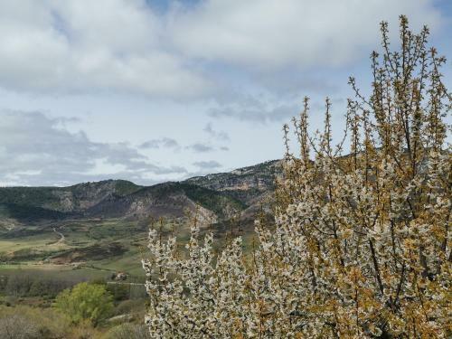 Apartamento Casa Rural Castellanos