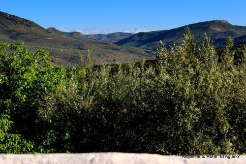 Agroturismo Alojamiento Rural El Ag�elo