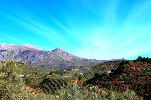Agroturismo Alojamiento Rural El Ag�elo