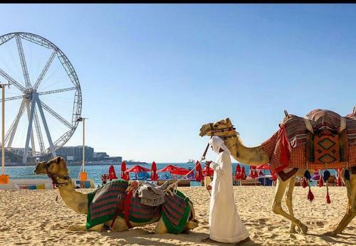 Two Bedroom Apartment - Jumeirah Beach Residence