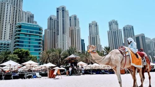 Jcb Dubai Marina Apartment