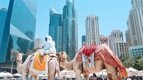 Jcb Dubai Marina Apartment