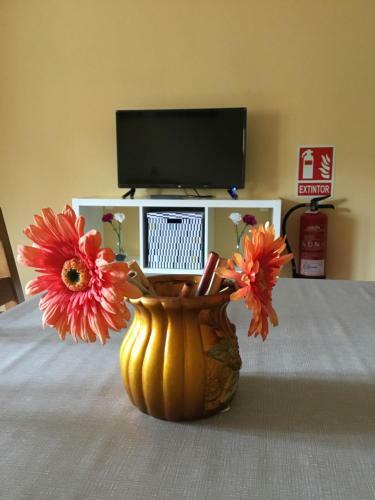 Apartamentos El Bosquexu