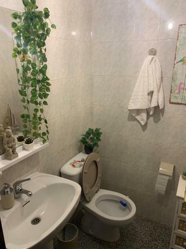 Casa Mavi Low Cost Granja Escuela