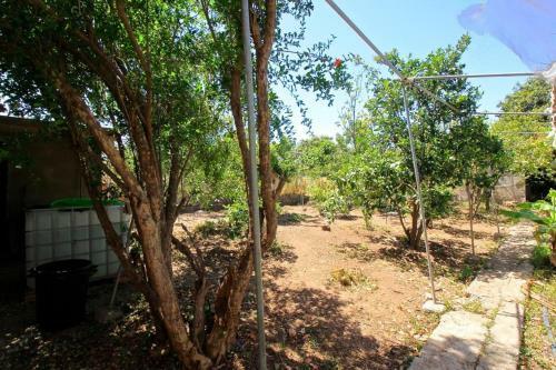 Villa Finca Alto Arena