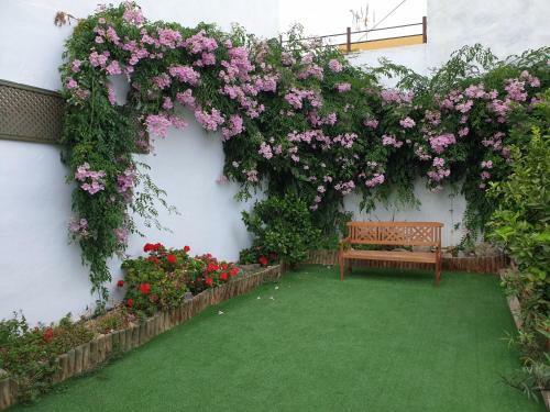Lala�s House