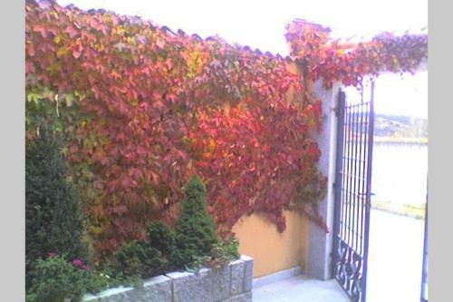 Casa Del Portal�n