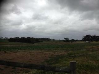Seal Bay Cottages - Kaiwarra