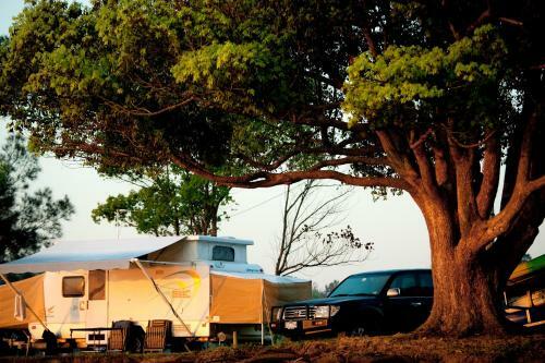 Big4 Saltwater @ Yamba Holiday Park