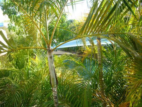 Aparthotel Pacific Sands Apartments