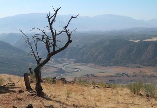 Apartamento Casita Celestial Heavenly House