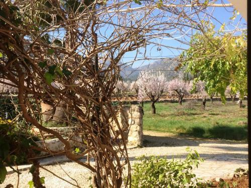 Bed & Breakfast Buena Idea - Adults Only