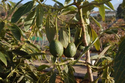 Casa Rural - La Casita Del Monte