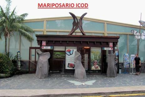 Apartamento Vistas De Icod
