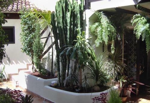 Apartamento Aptos Monasterio De San Antonio 7