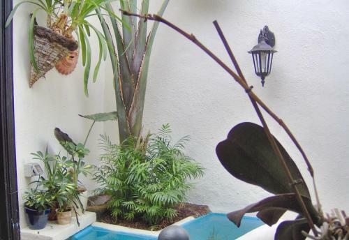 Apartamento Aptos Monasterio De San Antonio 7