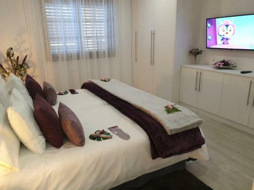 Apartamento Plaza San Marcos