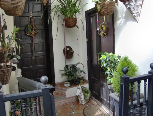 Apartamento G�nstige Ferienwohnung Zur Stra�e