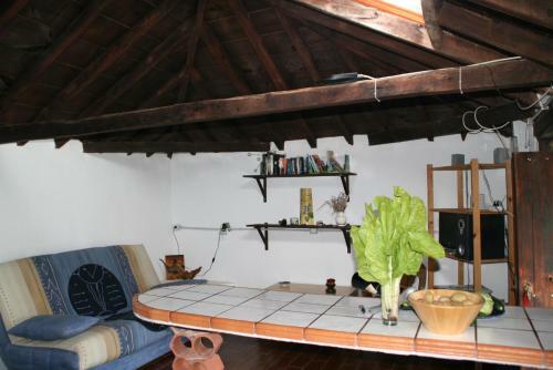Finca Cueva Del Viento