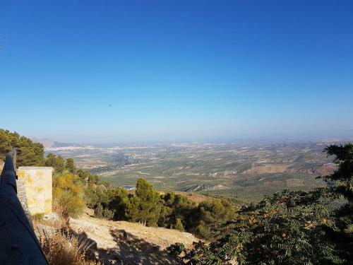 Apartamentos Rurales La Dehesa Del Acebuche