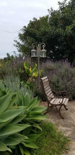 Apartamento La Casita De La Vega