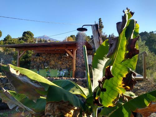 La Tagora Casa Rural En Icod De Los Vinos