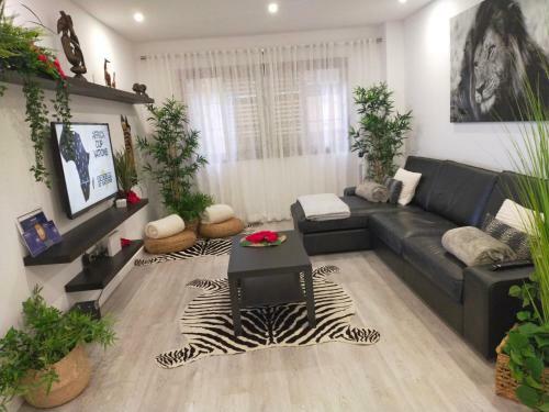 Apartamento Habitaci�n Plaza