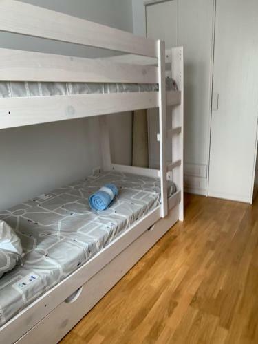 Apartamento Artaleku