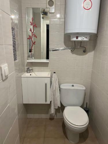 Apartamento La Perla Del Pirineo