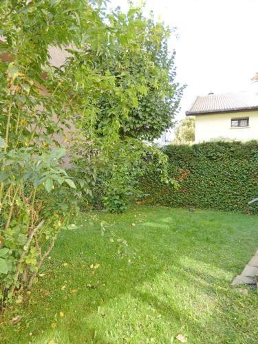 Villa San Lure Jaca